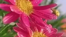 آموزش مالی و حسابداری-خدمات آموزش های مهارتی