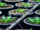 اتصالات کاوه گستر