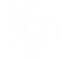 لوگو سمت راست تکصان